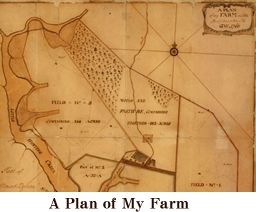 A plan of Washington's farm